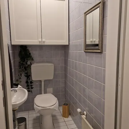 In 公寓 Schwanenstadt