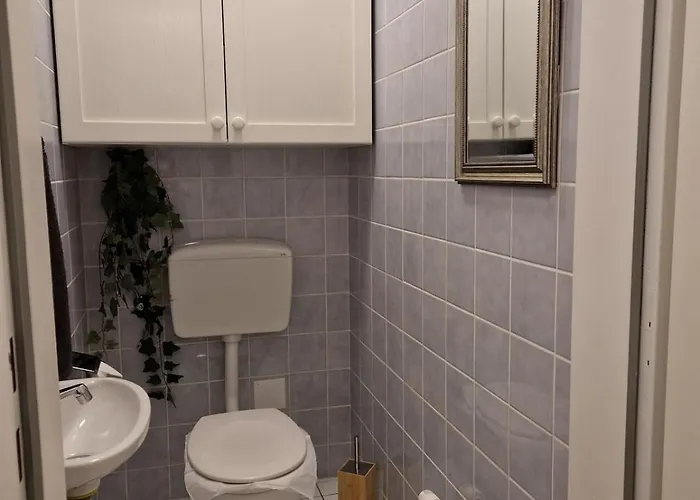 In 公寓 Schwanenstadt